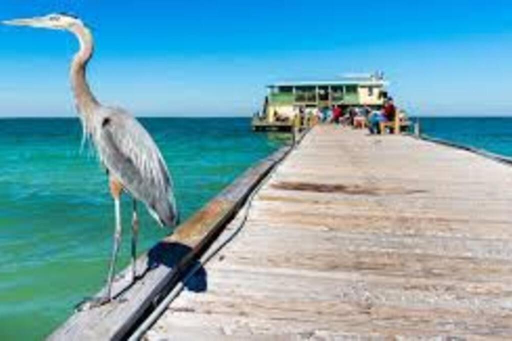 Waterview Oasis Retreat, Minutes To Anna Maria Island And Img Apartman Bradenton Kültér fotó